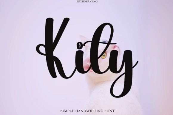 Kity: A Handwritten Font for Creative Expression