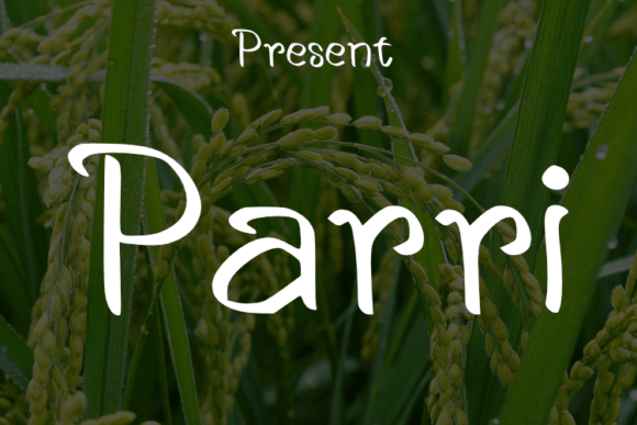 Parri: A Modern Handwritten Font