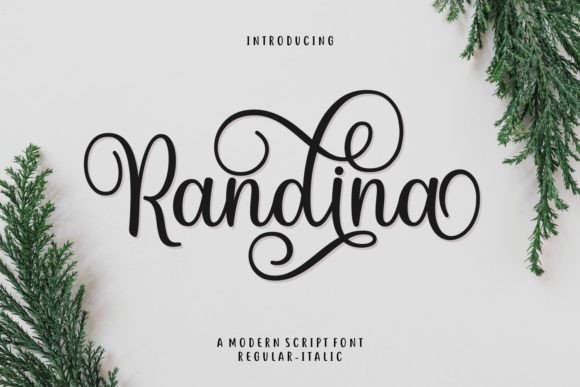 Randina: A Stylish Script Font for Web Design