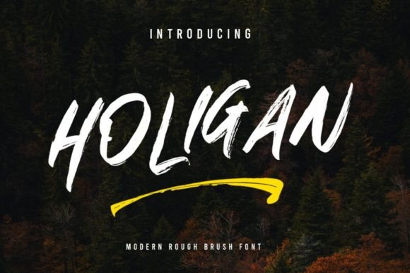 Review: Holigan Script Amp